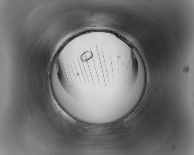 X0000114211334200911201014