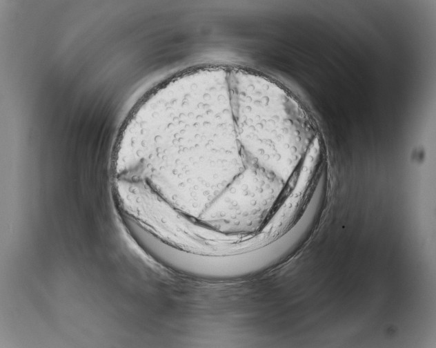 X0000114211335200911201014