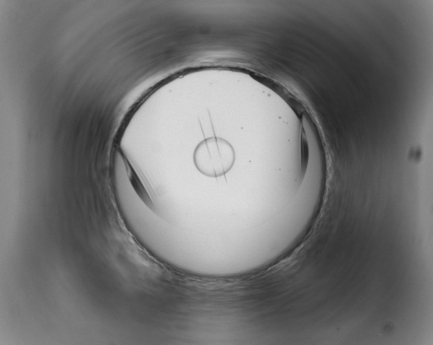 X0000114211336200911201014