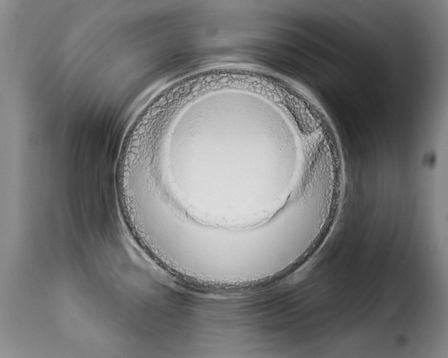 X0000114211338200911201014