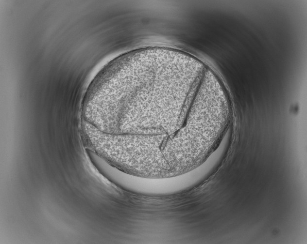 X0000114211339200911201014