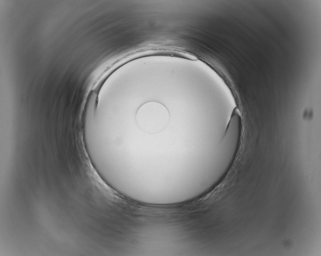 X0000114211344200911201014