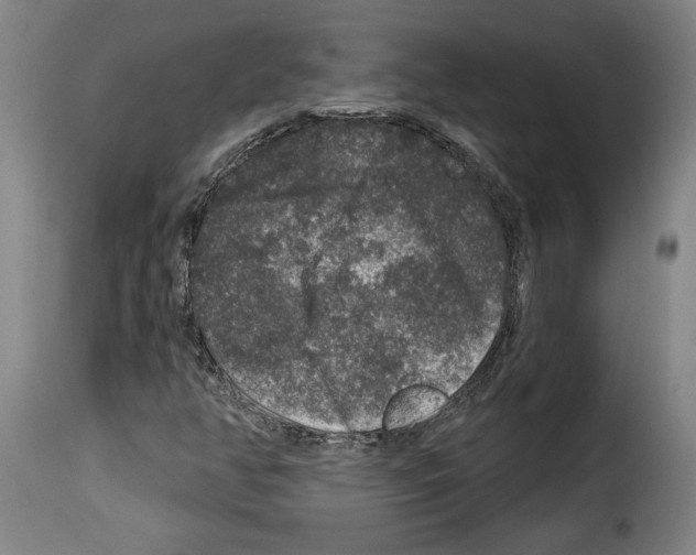 X0000114211350200911201013