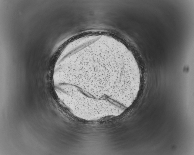 X0000114211352200911201013