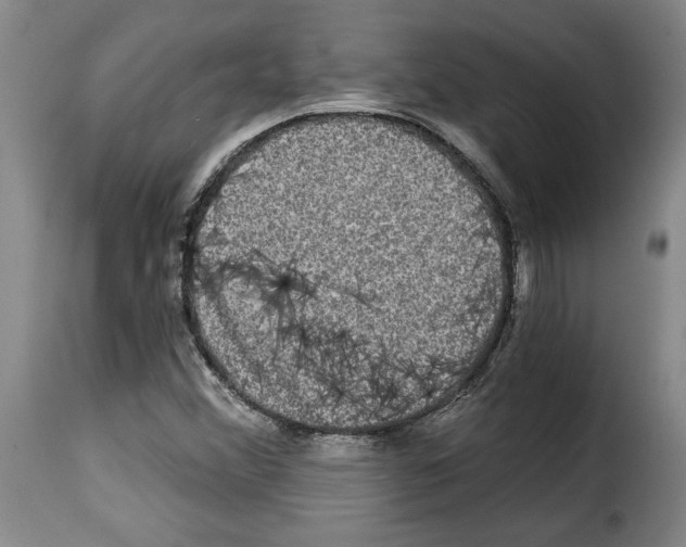 X0000114211356200911201013