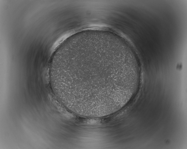 X0000114211362200911201013