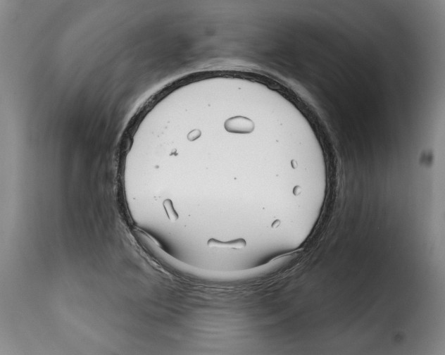 X0000114211364200911201013