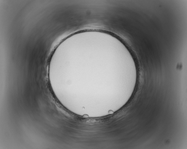 X0000114211366200911201013