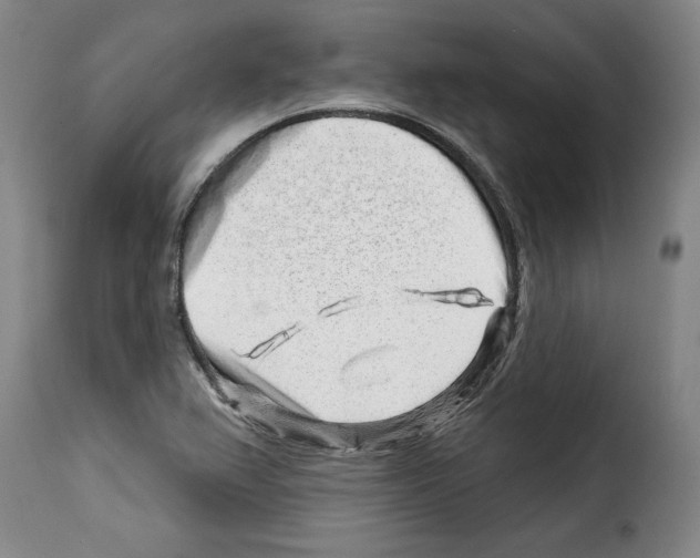 X0000114211367200911201013
