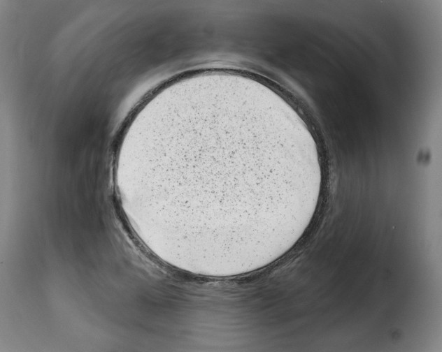 X0000114211368200911201013