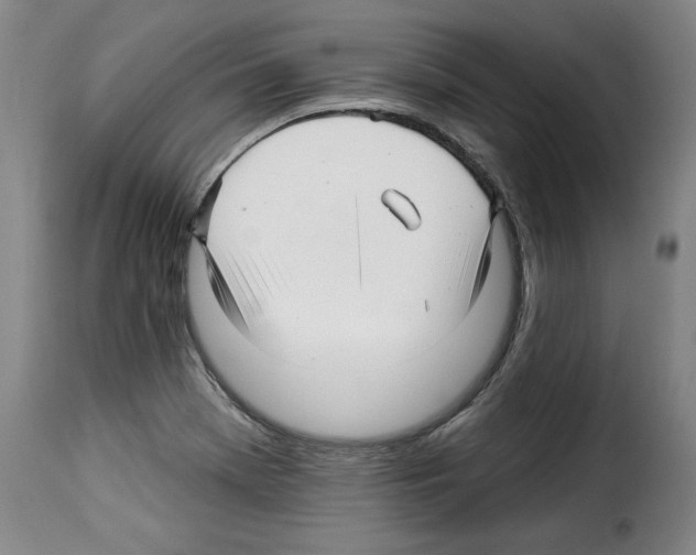 X0000114211369200911201013