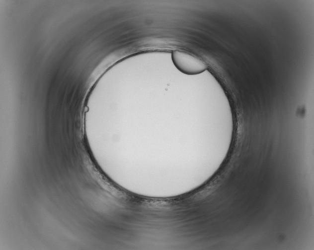 X0000114211370200911201013