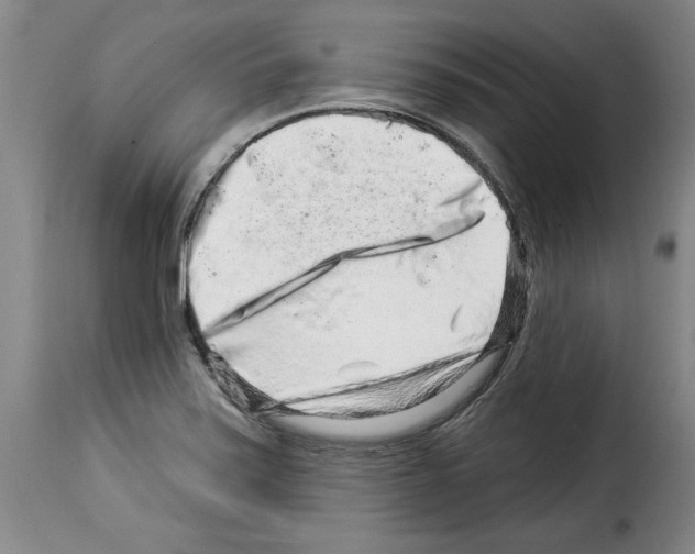 X0000114211371200911201013