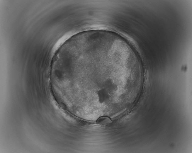 X0000114211373200911201013