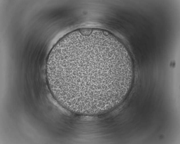 X0000114211374200911201013