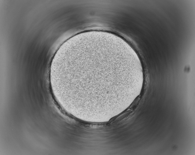 X0000114211375200911201013