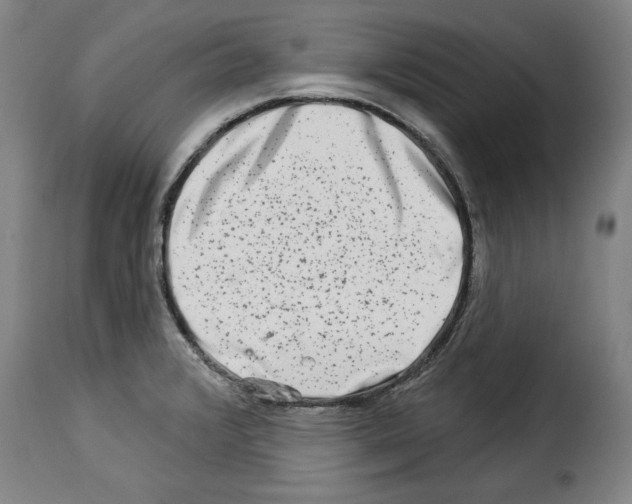 X0000114211376200911201013