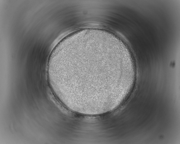 X0000114211378200911201013