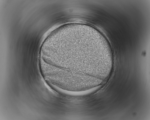 X0000114211379200911201013