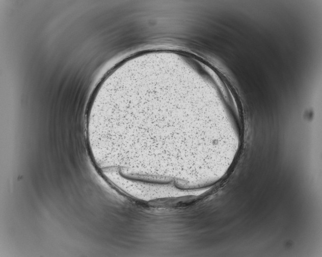 X0000114211380200911201013