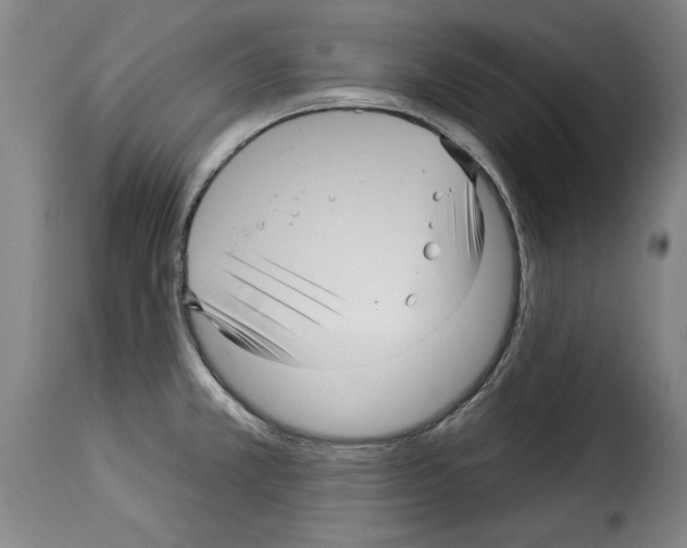 X0000114211381200911201013