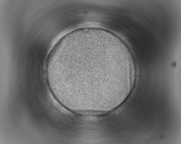 X0000114211382200911201013