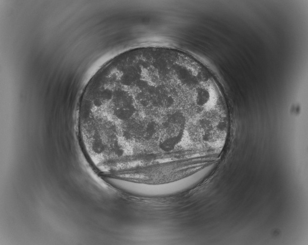 X0000114211383200911201013