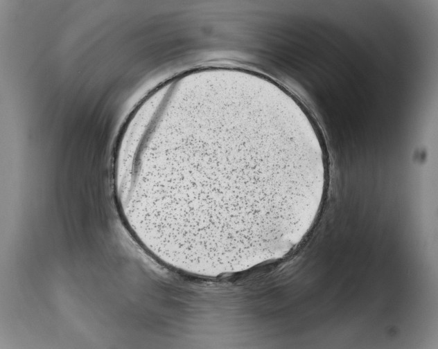 X0000114211384200911201013