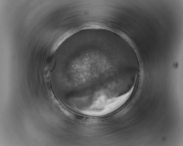 X0000114211385200911201013