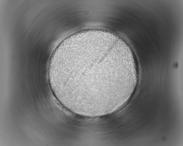 X0000114211386200911201013