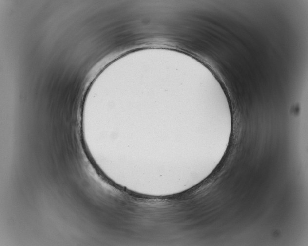 X0000114211387200911201013