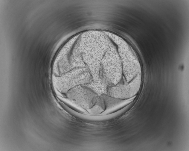 X0000114211388200911201013