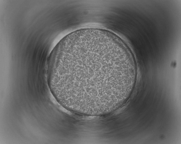X0000114211390200911201013