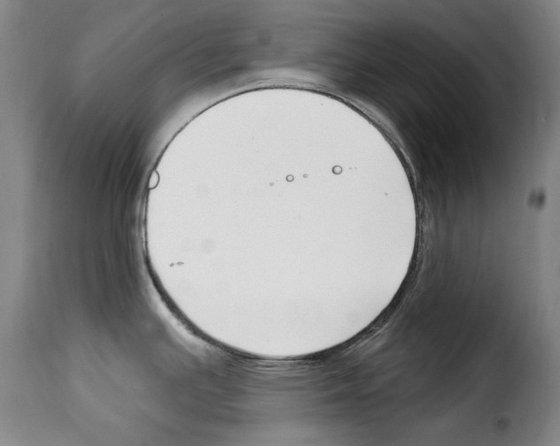 X0000114211391200911201013
