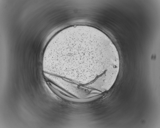 X0000114211392200911201013