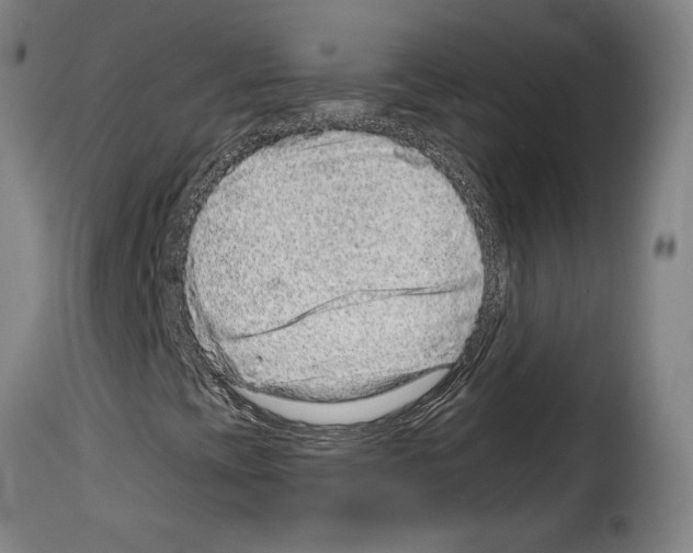 X0000114211393200911201012