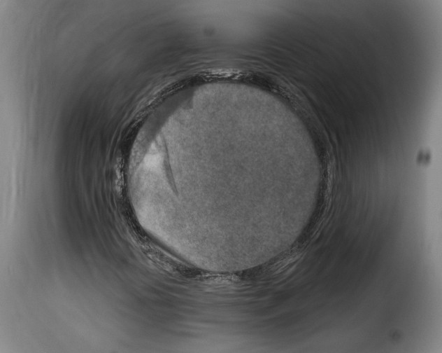 X0000114211394200911201012