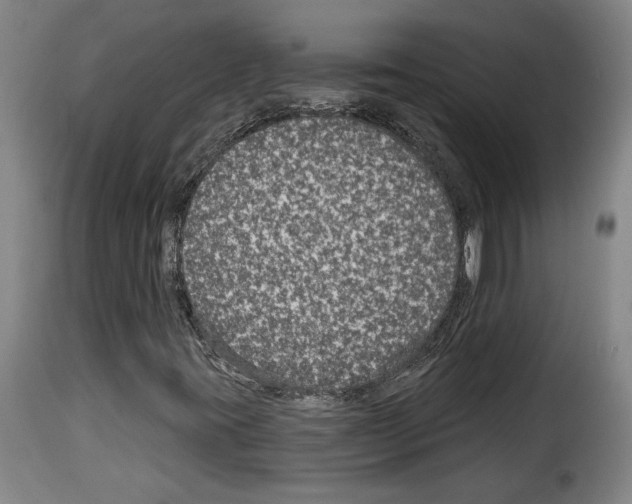 X0000114211395200911201012