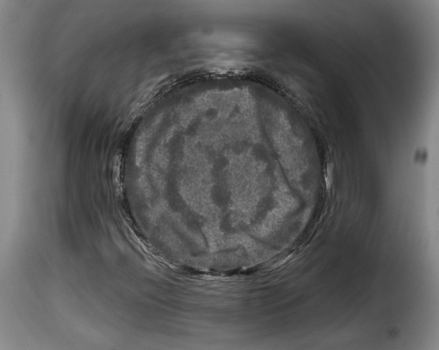 X0000114211396200911201012