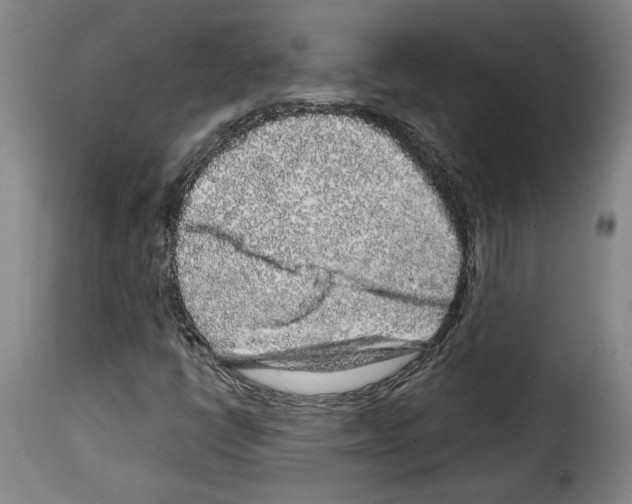 X0000114211398200911201012