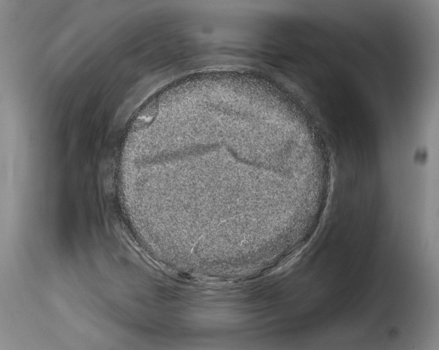 X0000114211401200911201012
