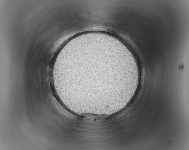 X0000114211404200911201012
