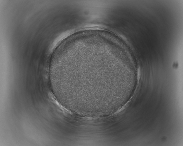 X0000114211405200911201012