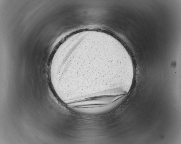 X0000114211412200911201013