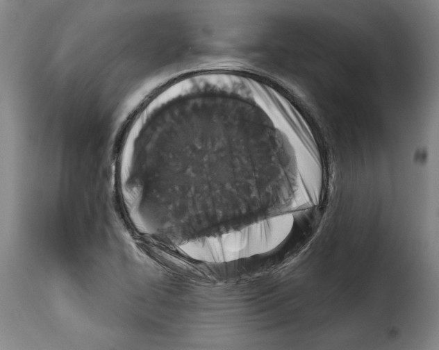 X0000114211414200911201013