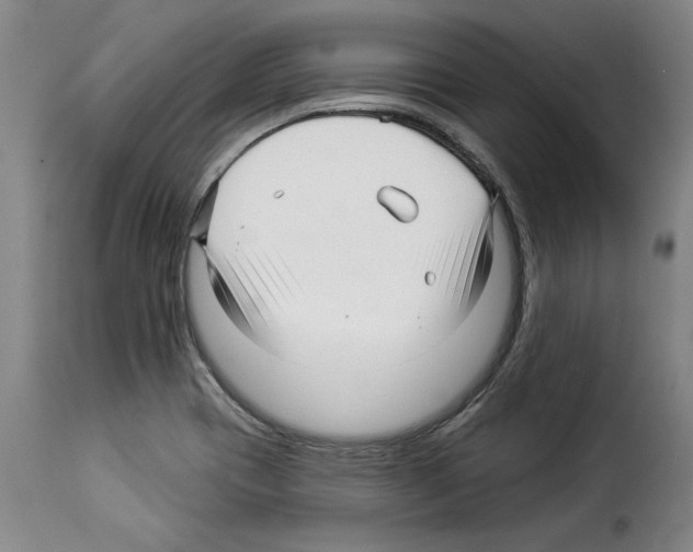 X0000114211417200911201013