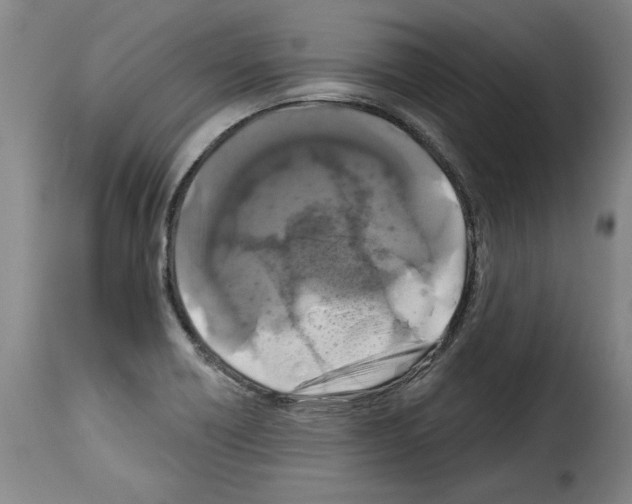 X0000114211418200911201013