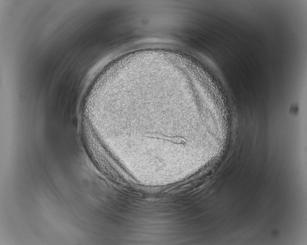 X0000114211419200911201013