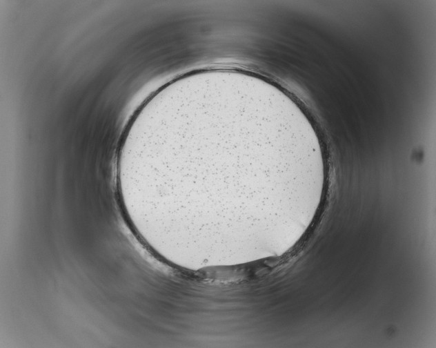 X0000114211420200911201013