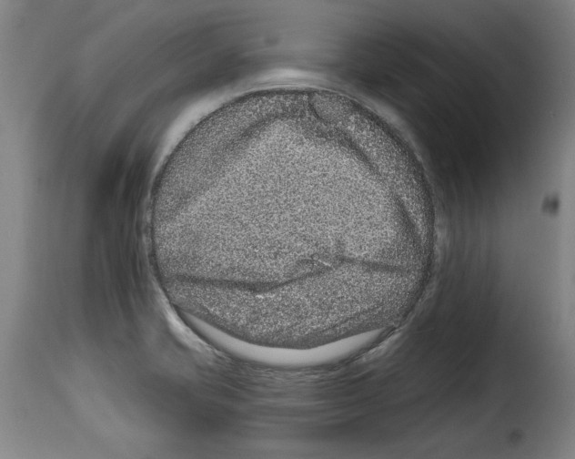 X0000114211421200911201013
